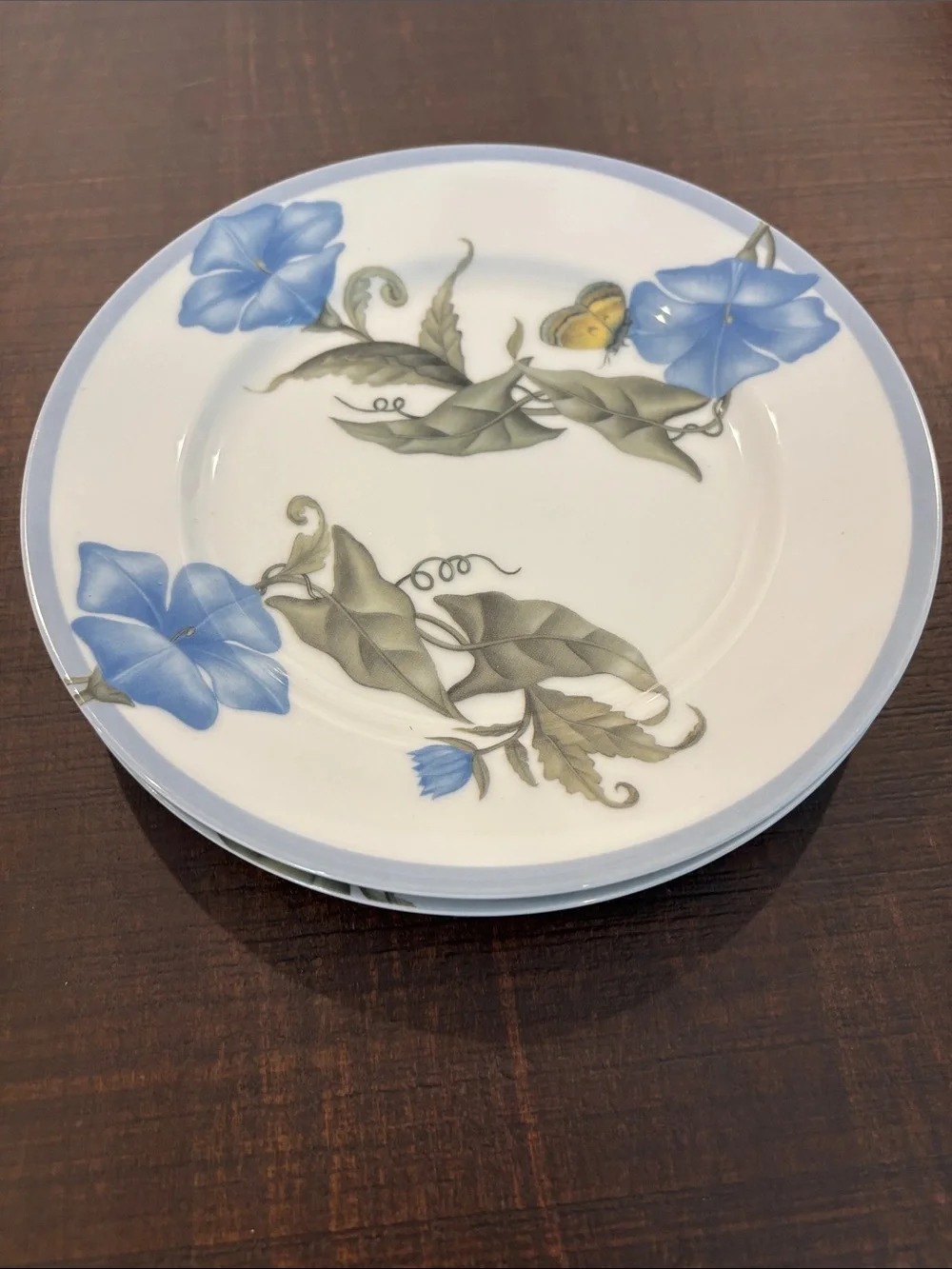 Williams Sonoma Summer Studies Salad Plates Set of 6 Morning Glory Botanical Mad